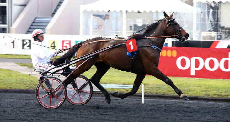 Quinté+ de mardi à Bordeaux : Staro Italy a tout pour plaire | Equidia