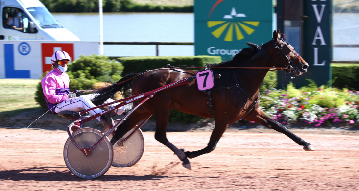 Arrivée du Quinté+ : une balade pour Diable de Vauvert | Equidia