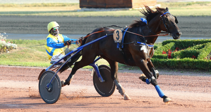 Lundi A Chateaubriant Diego De Miennais Assume Son Statut Equidia