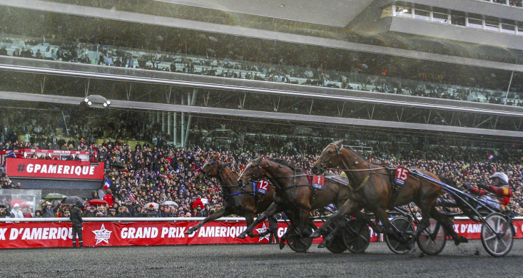 Les Battus Du Grand Prix D Amerique 2019 Equidia