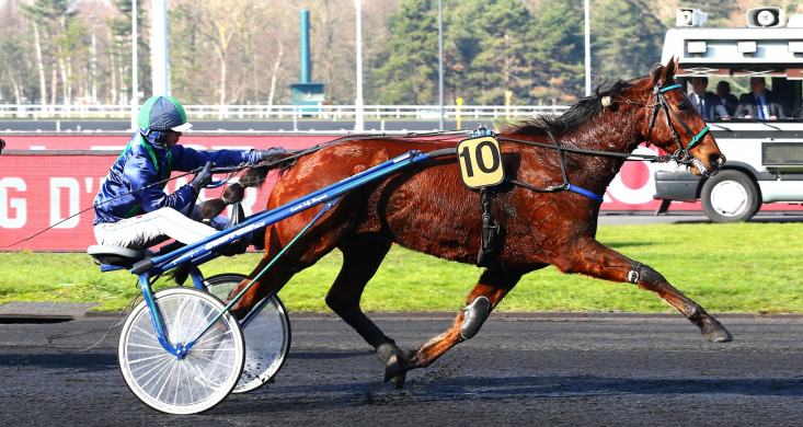 Arrivée du Quinté : Ce Bello Romain domine les débats | Equidia