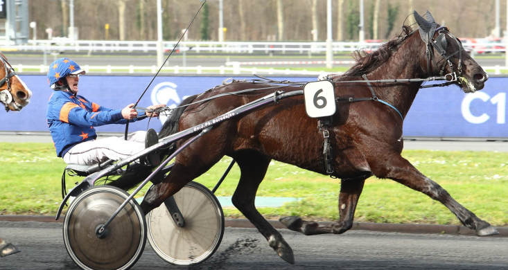 Quinté+ de vendredi à Vincennes : Domingo d'Ela de bout en bout | Equidia