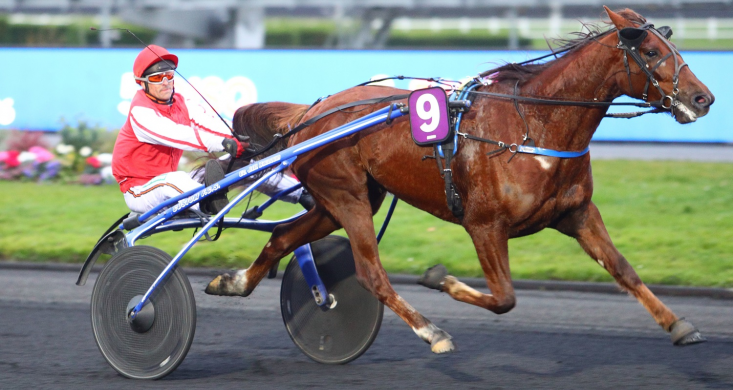 Quinté+ de vendredi à Vincennes : Elite San Leandro a été préservée pour ce  meeting d'hiver | Equidia