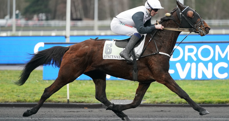 Jeudi 30 janvier à Vincennes : Gabiano brille sans ses fers pour son retour  au monté | Equidia