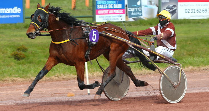 Mercredi à Lisieux : Gitane d'Azur en costaud | Equidia