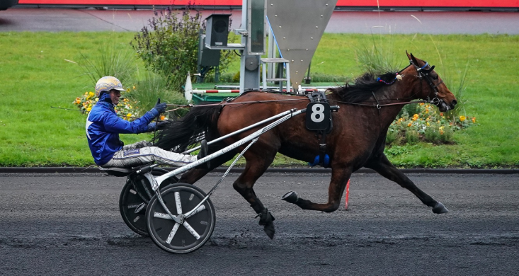 Préparatoires au Critérium : Gunilla d'Atout et Gallant Way lauréats |  Equidia