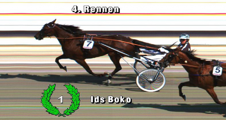 chevaux trotteurs qualifiés