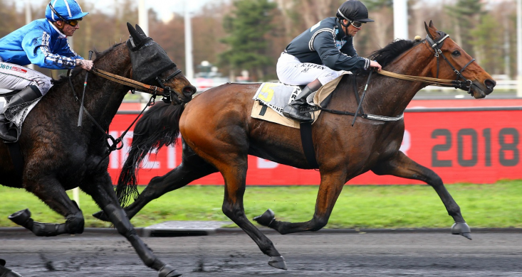 Vendredi à Vincennes : Mindyourvalue W.F. effectue un retour gagnant sous  la selle | Equidia