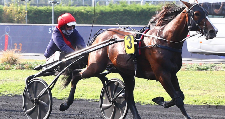 Quinté+ du lundi 2 novembre à Vincennes (13h50) : Sobel Conway peut  réaliser un numéro | Equidia