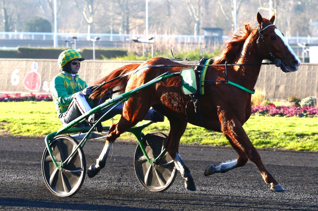 Le Meilleur Pronostiqueur Hippique Du Monde Toute l'information hippique et des courses | Equidia