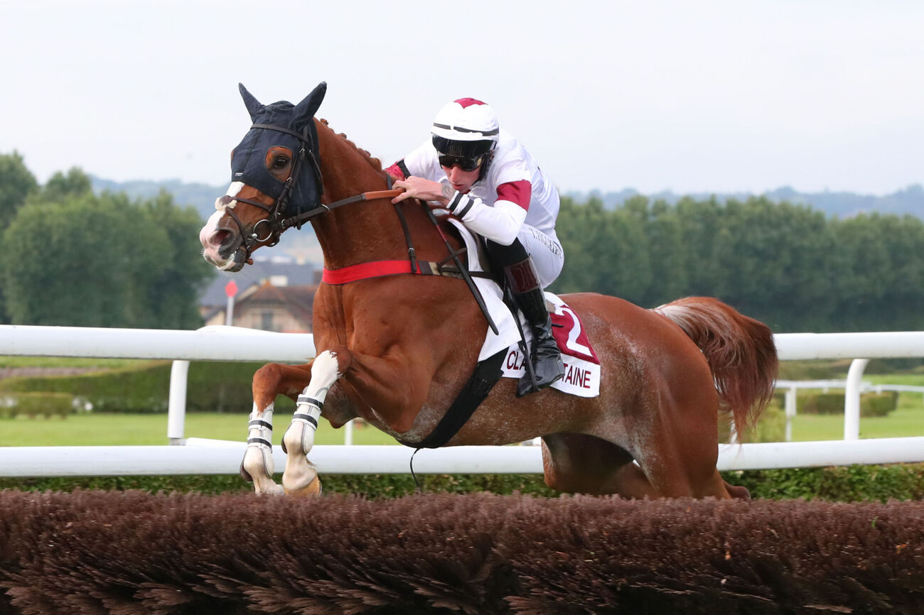 horses with unique coloring/facial markings Page 91 Horse Racing