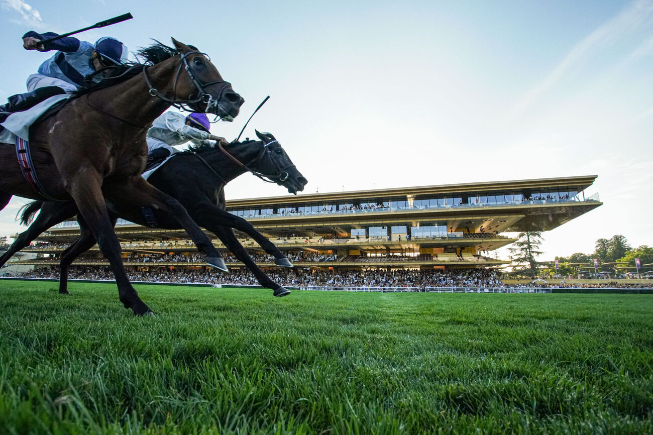 R1 ParisLongchamp: 4 Key Facts - Equidia - News Directory 3