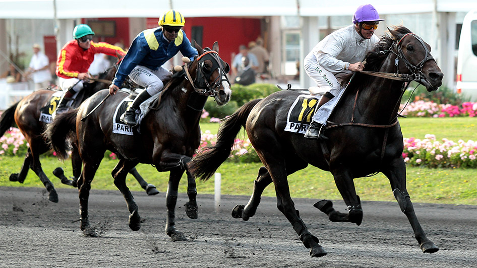 Prix Georges Dreux Paris Vincennes 09/21/2025 Results & Predictions - News Directory 3
