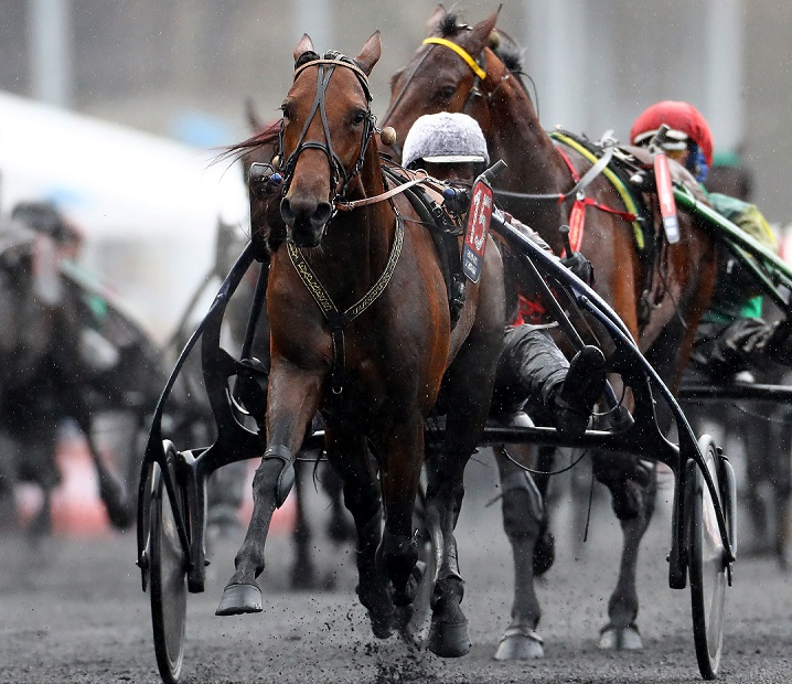 L'Elitloppet devrait être la dernière course de Readly Express ! | Equidia